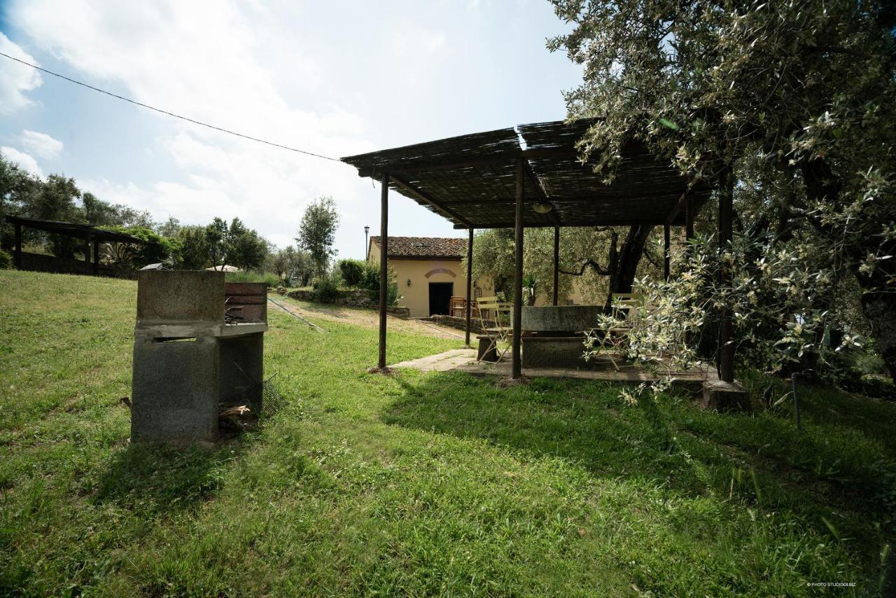 Agriturismo La Gioconda Vinci Exteriör bild