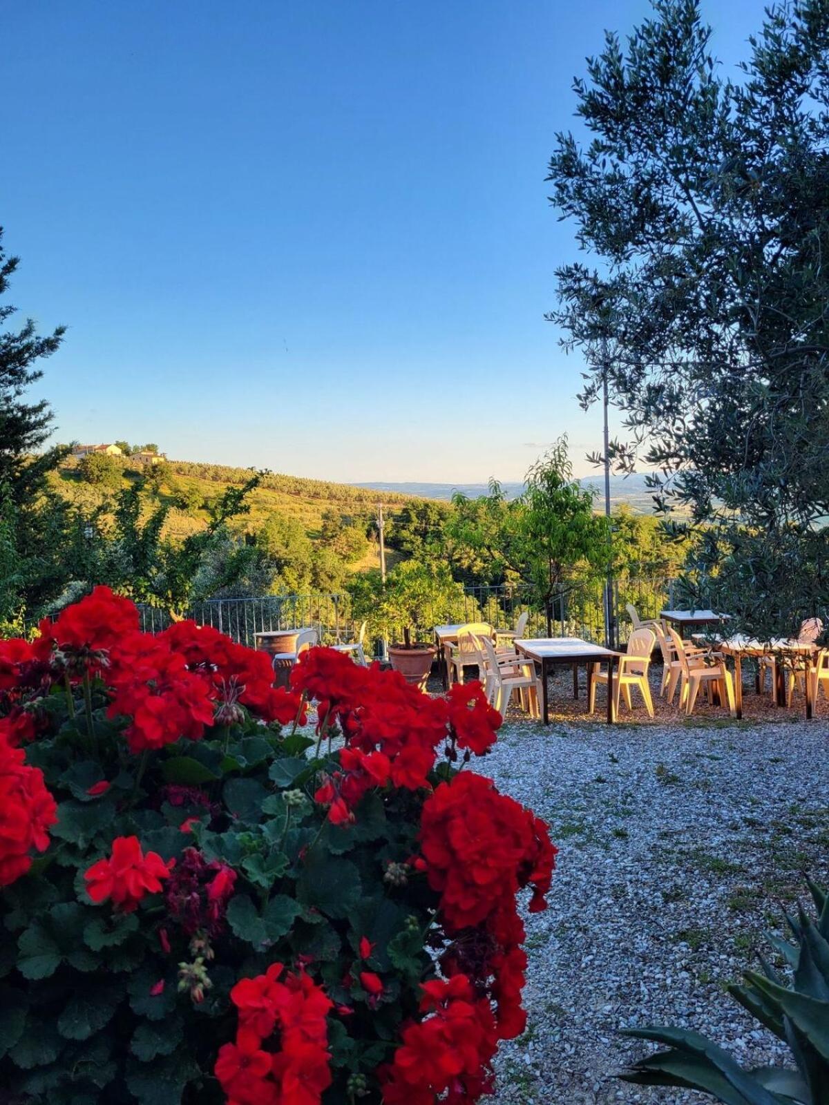Agriturismo La Gioconda Vinci Exteriör bild